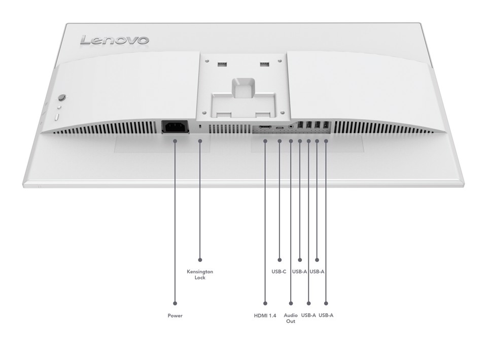Lenovo L24D-4C Monitor