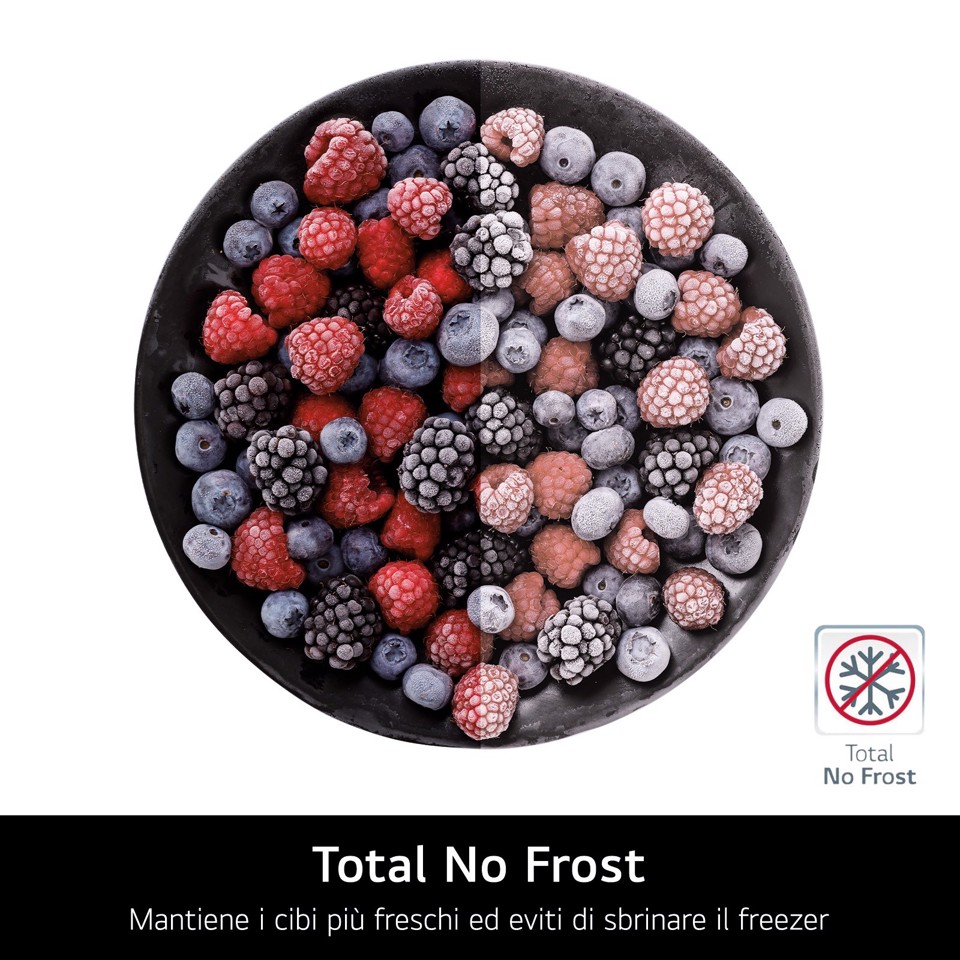 LG GSLE81PYBC Frigorifero Side-by-Side, Classe C, 628L, Wi-Fi, Dispenser senza allaccio, Total No Frost, Prime Silver