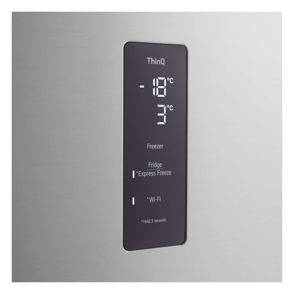 LG GTFV61PYBQD Frigorifero doppia porta Classe energetica E Platinum Silver