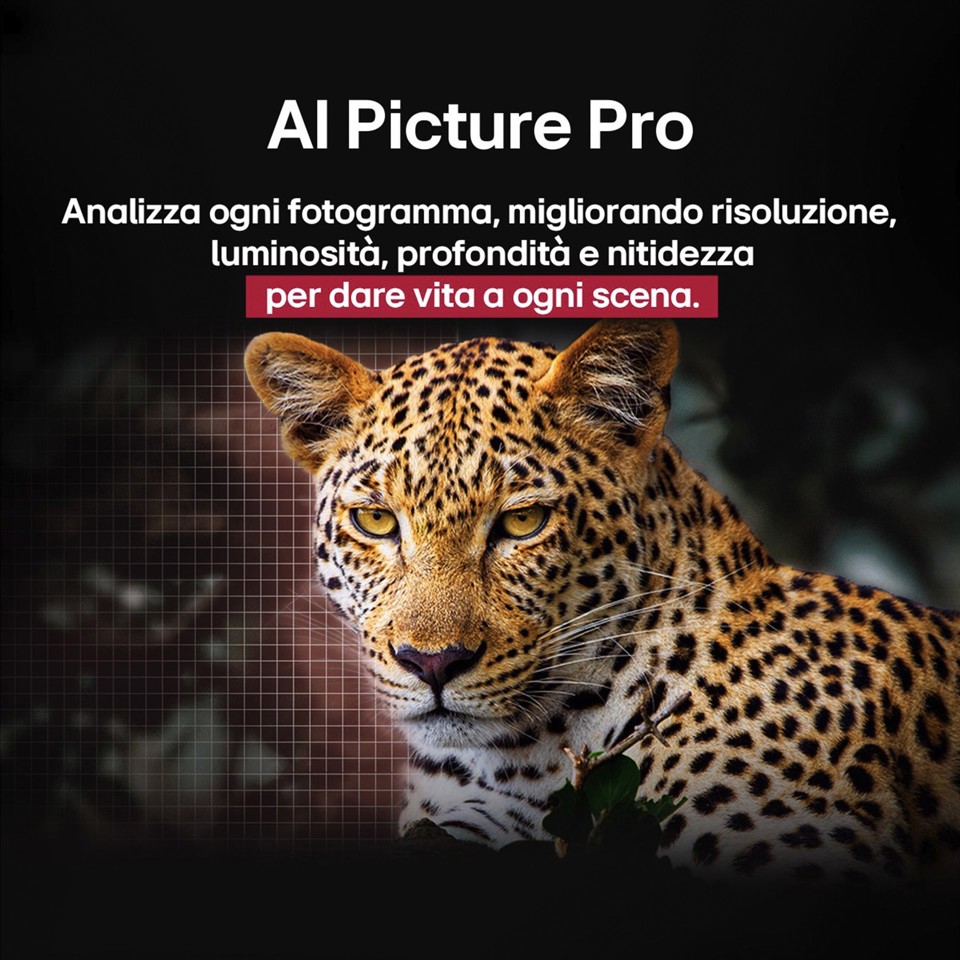 LG OLED AI OLED65B56LA TV Serie B5 65'' 4K, α8 Gen2, Dolby Vision, 20W, 4 HDMI con VRR 120Hz, G-Sync, Smart TV WebOS 25
