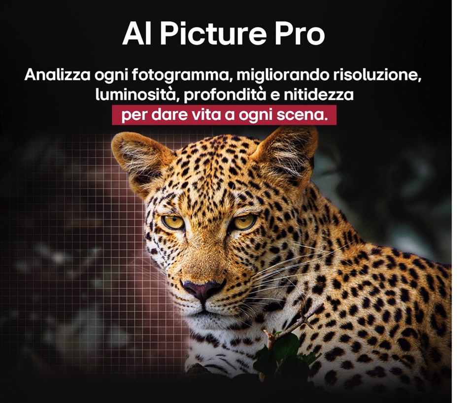 LG OLED evo AI OLED48C55LA TV Serie C5 48'' 4K, α9 Gen8, Dolby Vision, 40W, 4 HDMI, VRR 144Hz, Smart TV WebOS 25