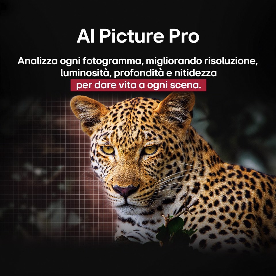 LG OLED evo AI OLED55C55LA TV Serie C5 55'' 4K, α9 Gen8, Brightness Booster, 40W, 4 HDMI, VRR 144Hz, Smart TV WebOS 25