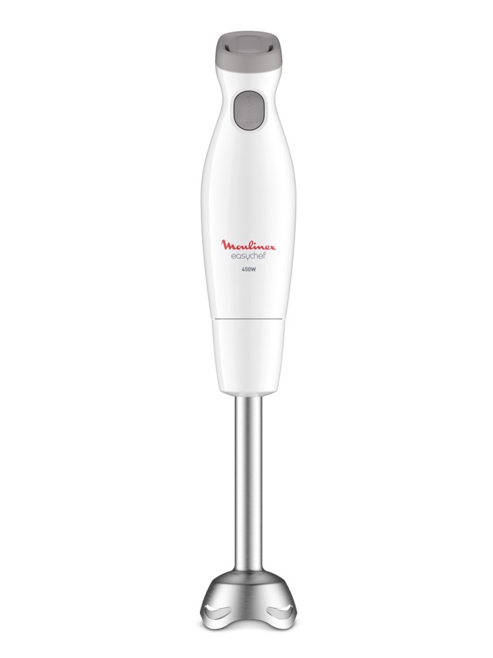 Moulinex Mixer ad immersione Easychef 2 in 1