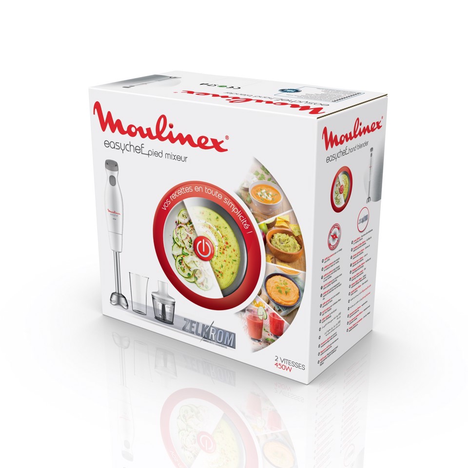 Moulinex Mixer ad immersione Easychef 2 in 1