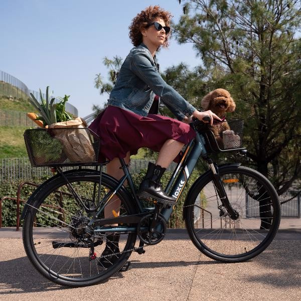 Nilox 30NXEBCLV1 bicicletta elettrica Multicolore 69,8 cm (27.5") 24 kg