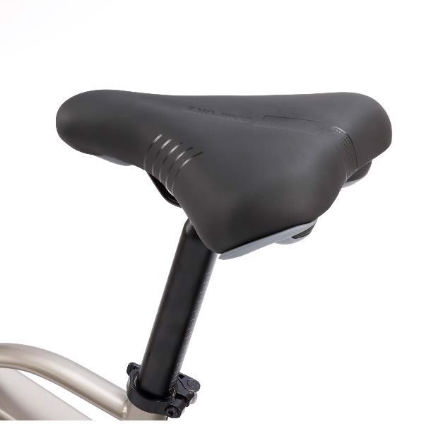 Nilox NXEBX10GR bicicletta elettrica Grigio Alluminio 50,8 cm (20") Litio