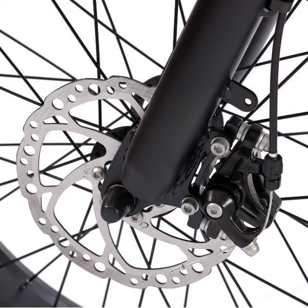 Nilox NXEBX10GR bicicletta elettrica Grigio Alluminio 50,8 cm (20") Litio