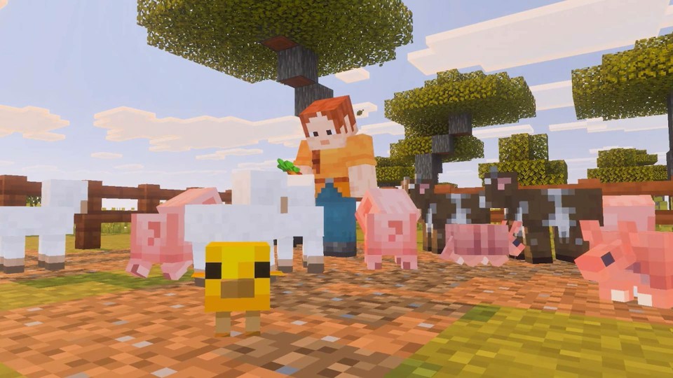 Nintendo MINECRAFT Standard Inglese, Francese, Tedesca, ESP, ITA, Giapponese, Coreano, DUT, Russo, Cinese semplificato, Cinese tradizionale, Portoghese Nintendo Switch 2