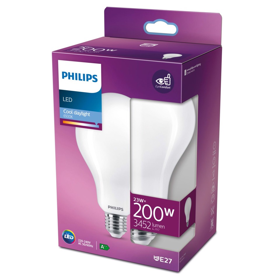 Philips Lampadina smerigliata a filamento 200 W A95 E27