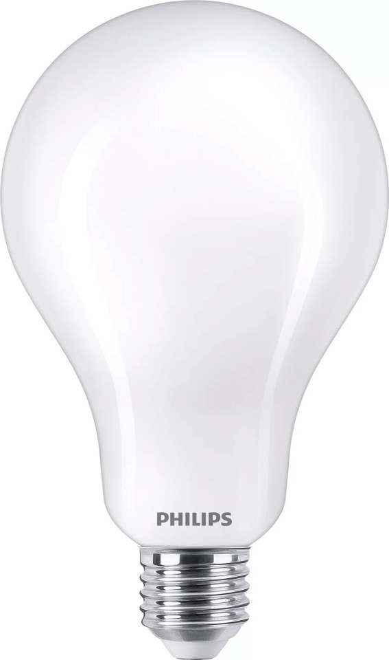 Philips Lampadina smerigliata a filamento 200 W A95 E27