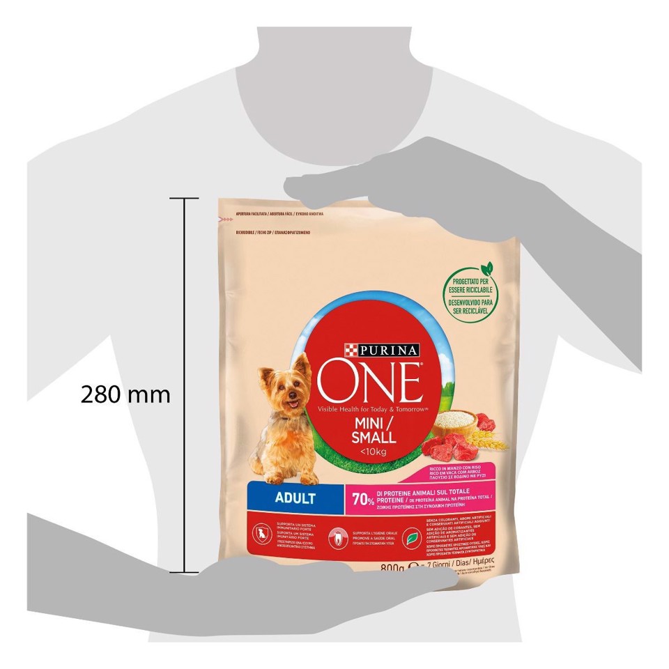 Purina ONE 12322833 cibo secco per cani adulti Manzo e riso 800g