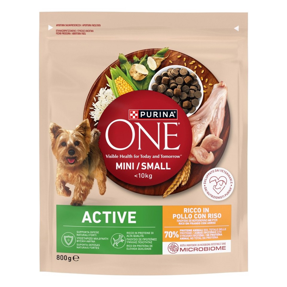 Purina ONE 12510691 cibo secco per cani Adulti 5-10kg Pollo, Riso 800 g