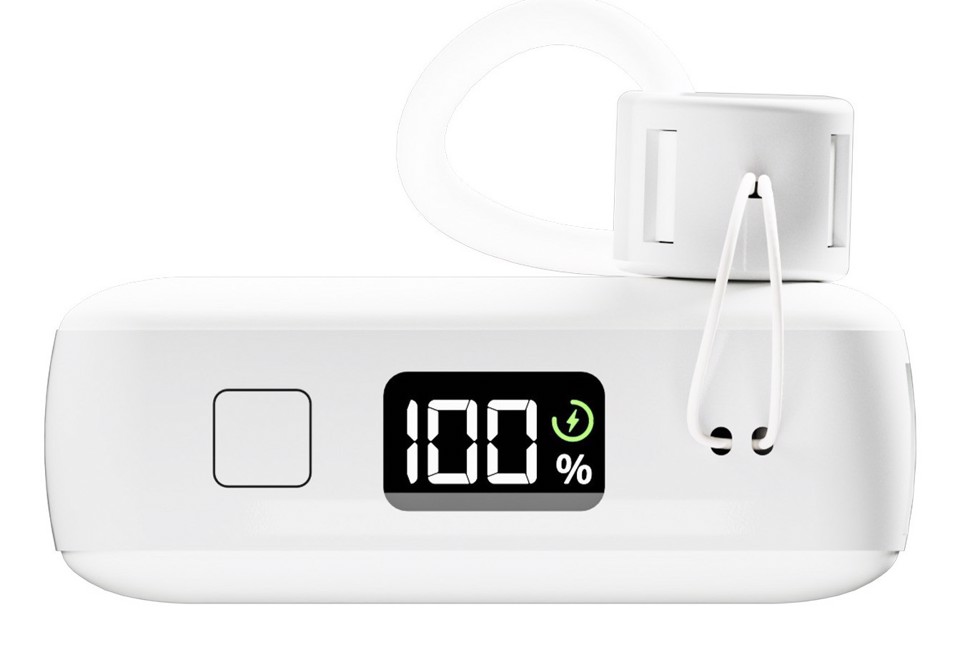 PURO PUFCBB100P12WHI batteria portatile Ioni di Litio 10000 mAh Bianco