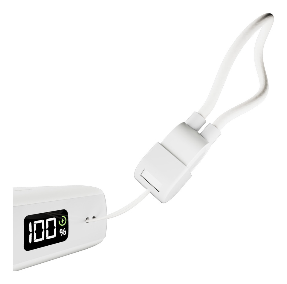 PURO PUFCBB100P12WHI batteria portatile Ioni di Litio 10000 mAh Bianco