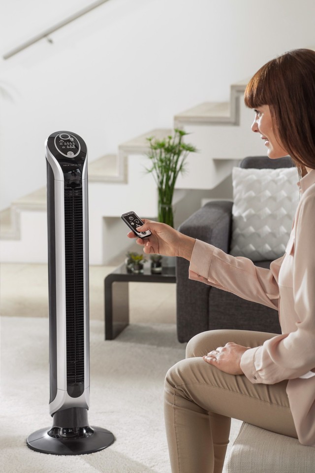 Rowenta Eole INFINITE