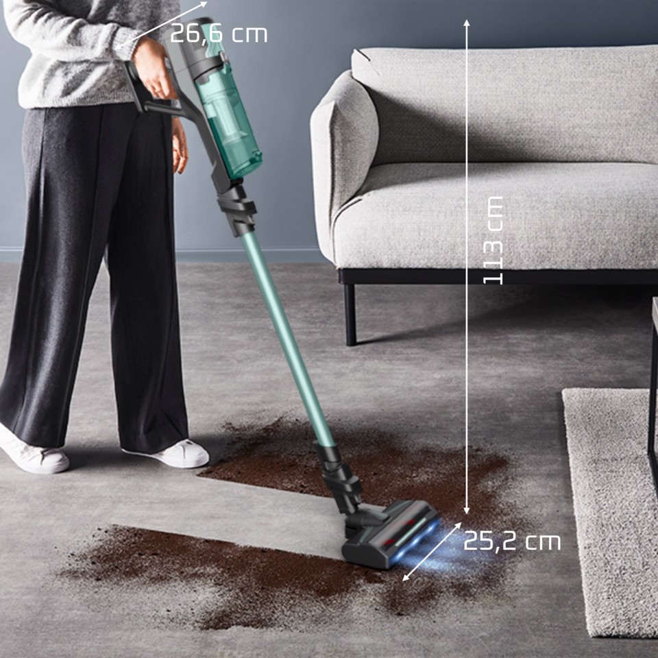 Rowenta X-Force 8.80, Aspirapolvere Senza Filo, Pulizia Potente, 100AW*, RH1833