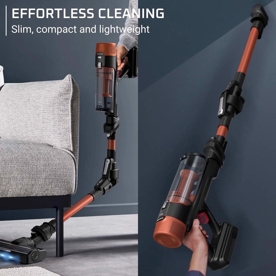 Rowenta X-FORCE FLEX 10.80, Aspirapolvere Senza Filo, Modello Animal Care