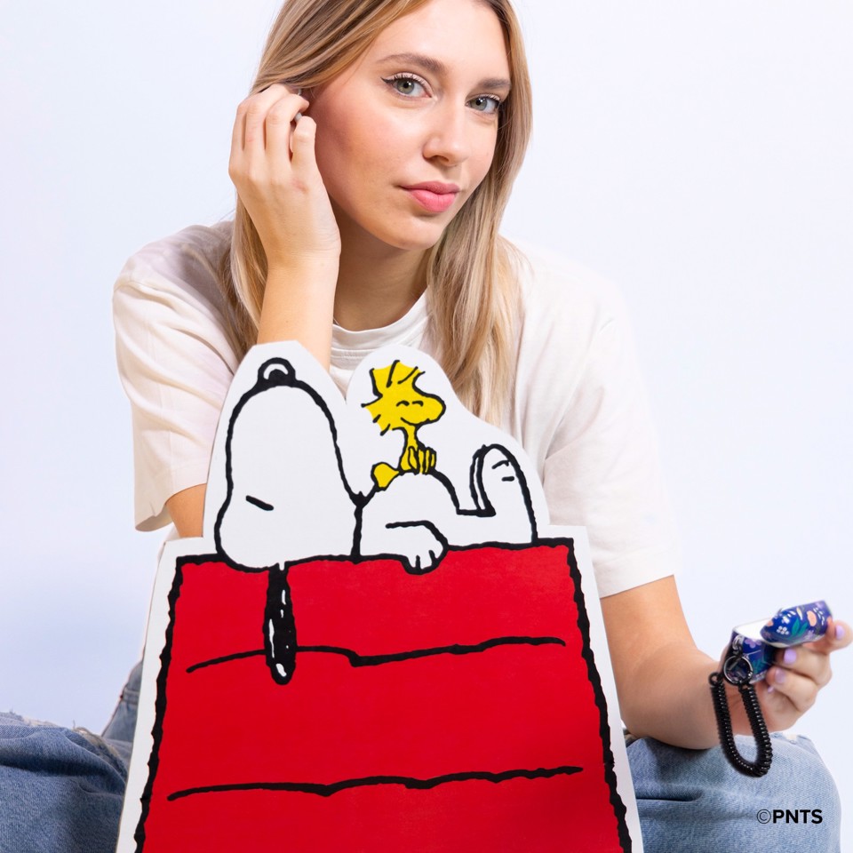 SBS CMPNUTSAPPRO2CASE2 accessorio per cuffia Custodia