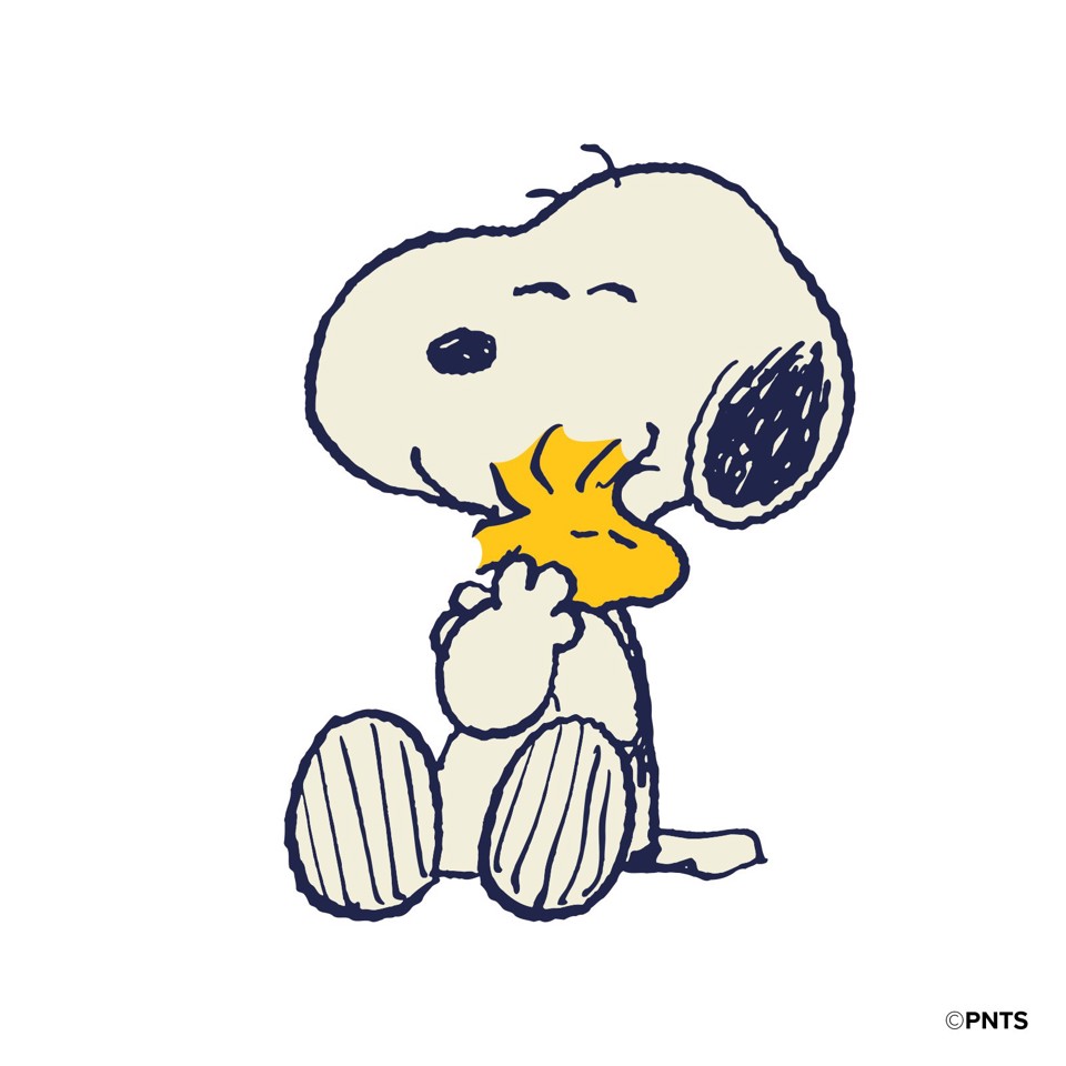 SBS CMPNUTSAPPRO2CASE2 accessorio per cuffia Custodia