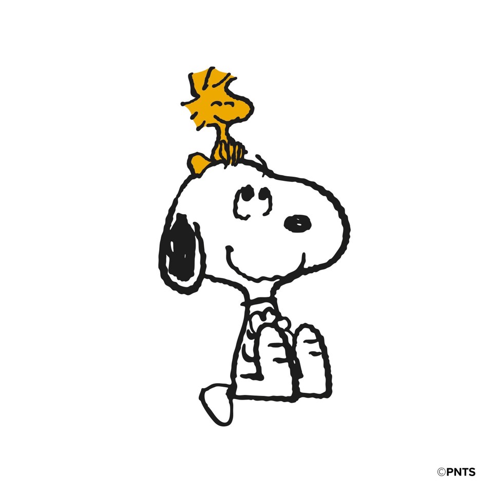 SBS CMPNUTSSTAND2 accessorio per smartphone e telefoni cellulari