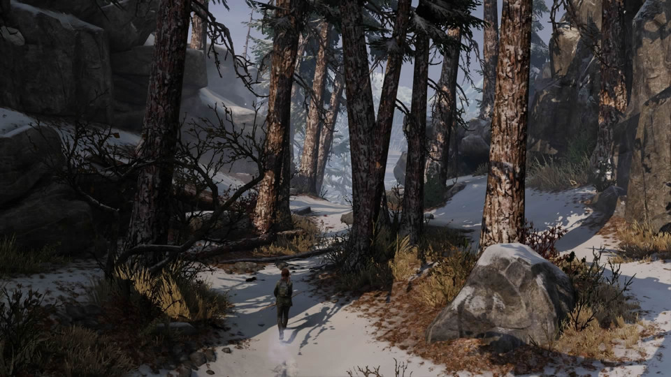 Sony The Last of Us Remastered (PS Hits)