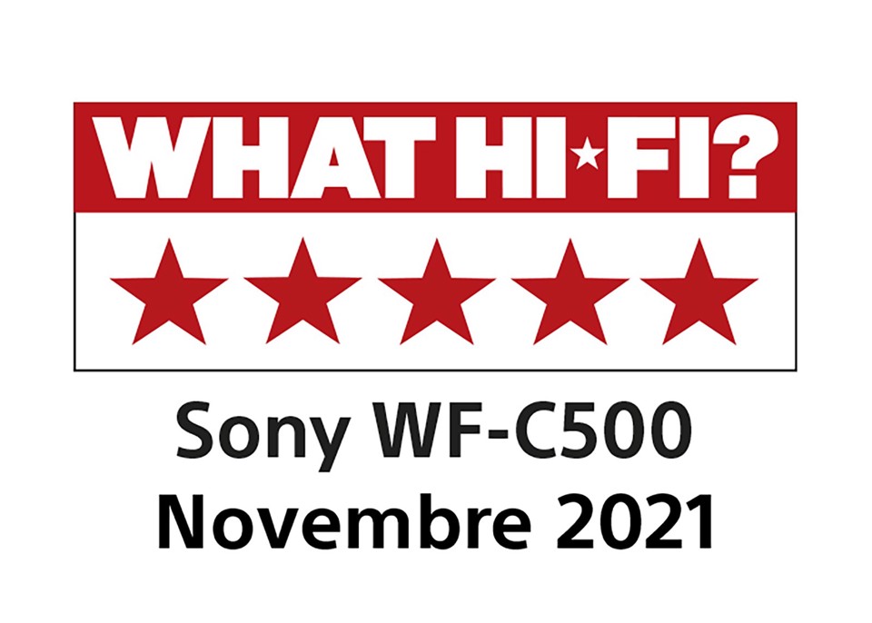Sony WF-C500 - Auricolari True Wireless, Fino a 20 ore di durata della batteria con custodia di ricarica, Compatibile con l'Assistente Vocale, Microfono integrato (Nero)
