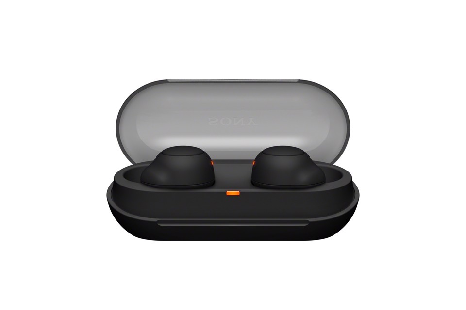 Sony WF-C500 - Auricolari True Wireless, Fino a 20 ore di durata della batteria con custodia di ricarica, Compatibile con l'Assistente Vocale, Microfono integrato (Nero)