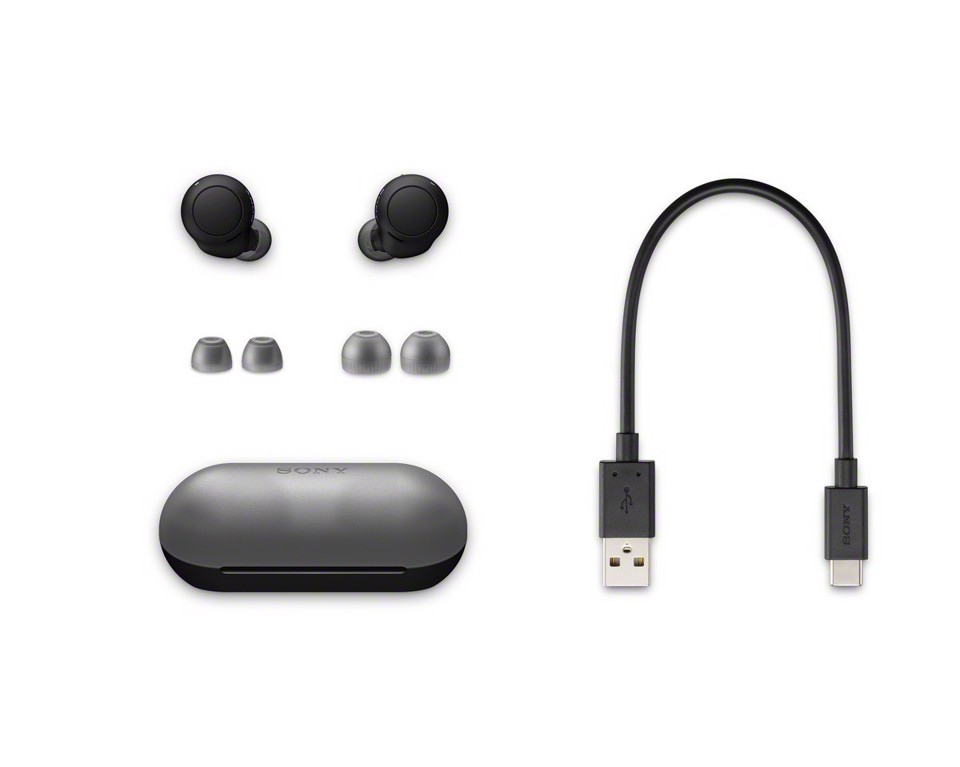 Sony WF-C500 - Auricolari True Wireless, Fino a 20 ore di durata della batteria con custodia di ricarica, Compatibile con l'Assistente Vocale, Microfono integrato (Nero)