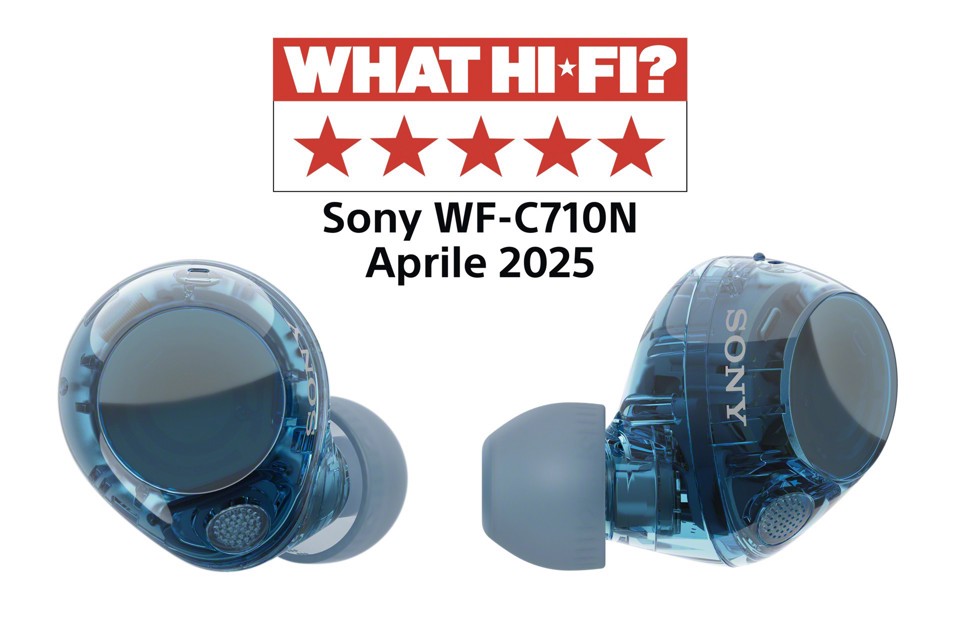 Sony WFC710NL.CE7 cuffia e auricolare True Wireless Stereo (TWS) In-ear Musica e Chiamate USB tipo-C Bluetooth Blu