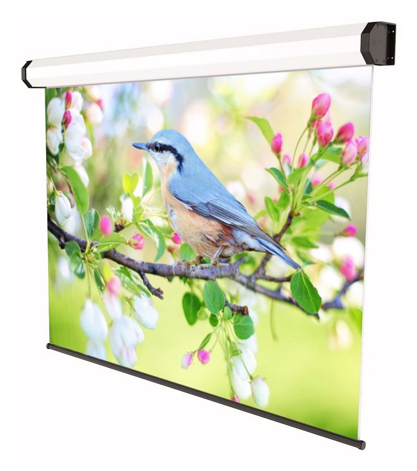 Sopar 5245 schermo per proiettore 2,82 m (111") 16:10