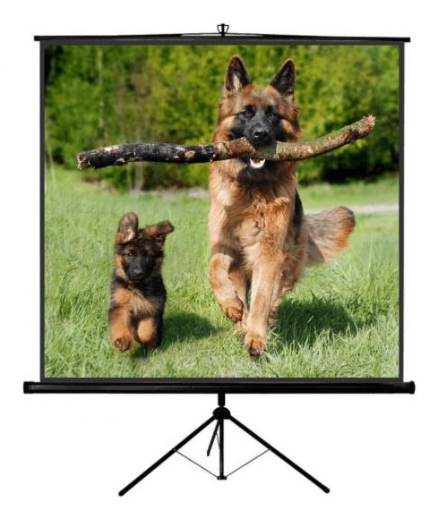 Sopar NEW Junior schermo per proiettore 200x200 1:1