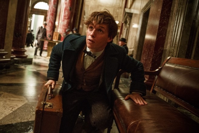 Warner Bros Animali fantastici e dove trovarli