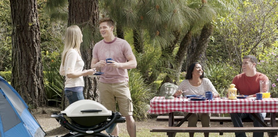 Weber Q 1000 Titanium Barbecue Da tavolo Gas Titanio 2600 W