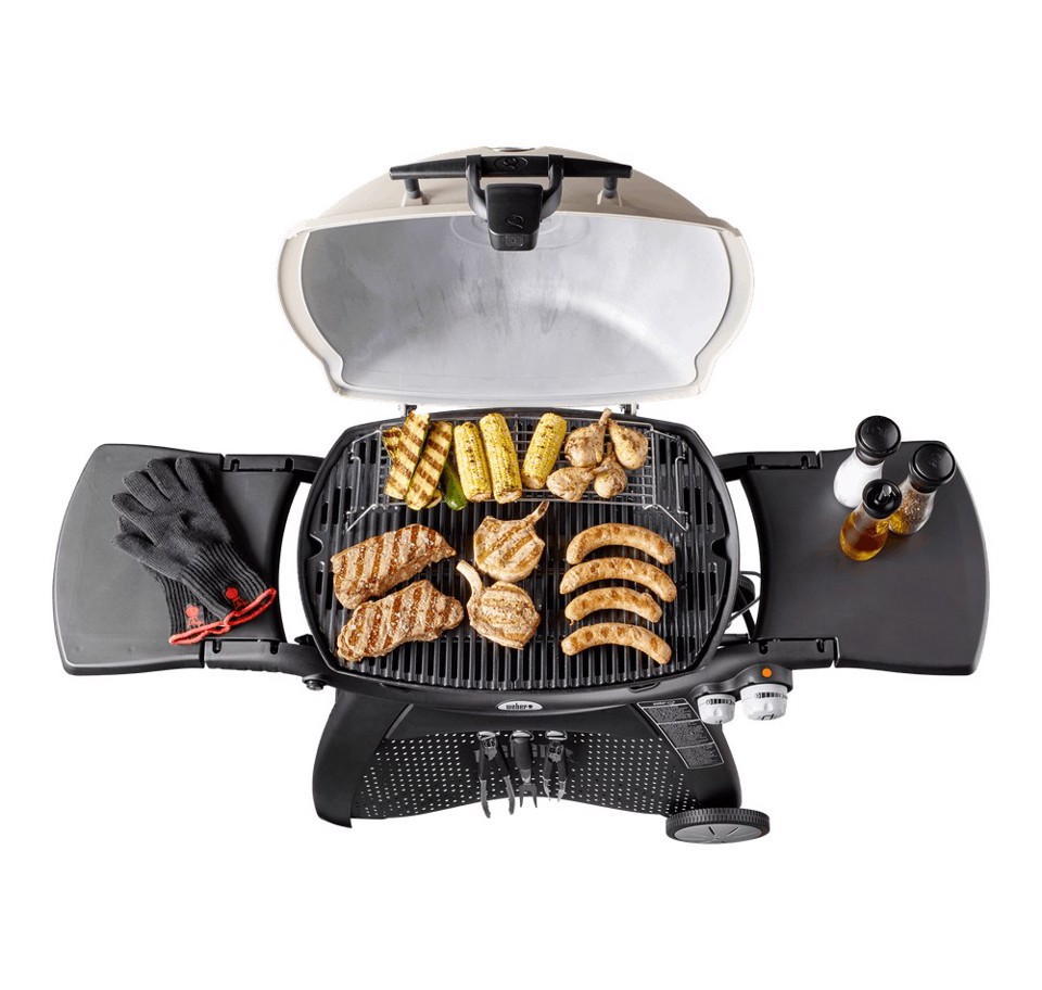 Weber Q 3200 con Stand - Barbecue a Gas