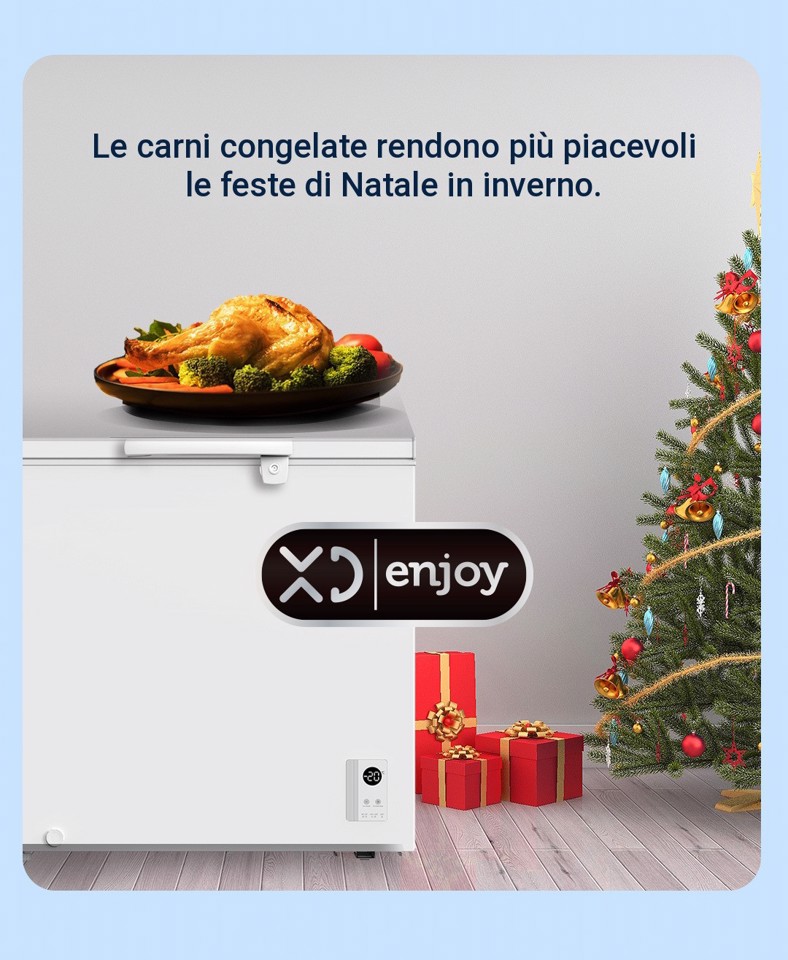 XD Enjoy XDCOMF201D congelatore Congelatore a pozzo Libera installazione 199 L Bianco