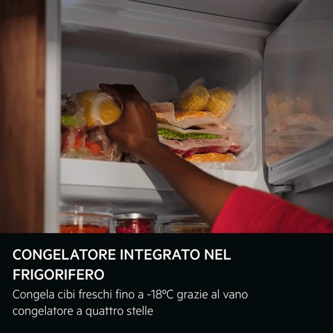 AEG Frigorifero Armadio Frigocongelatore Statico Classe E NSF5O12ES