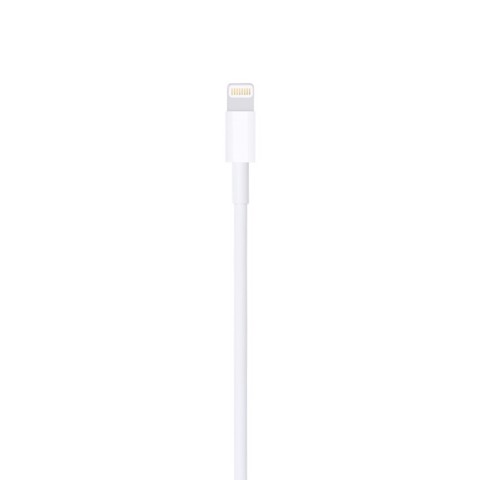Apple Cavo da Lightning a USB (1 metro)
