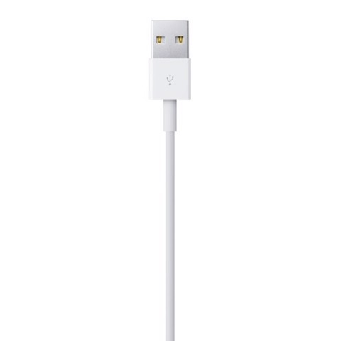 Apple Cavo da lightning a USB 2mt