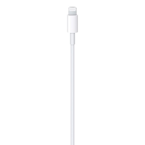 Apple Cavo da USB‑C a Lightning (1 metro)