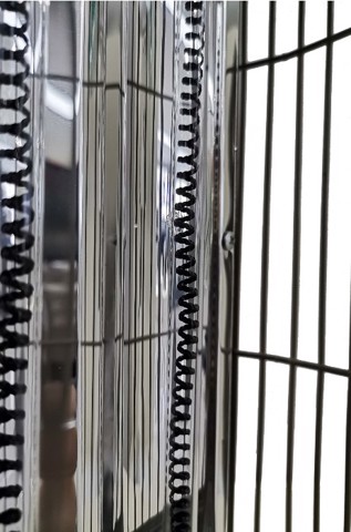 Argoclima Looney Interno Blu 800 W Riscaldatore di ambienti elettrico al quarzo