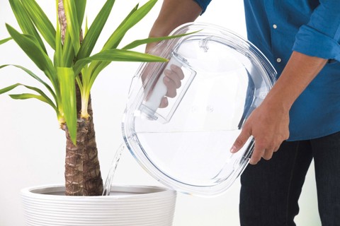 Candy Smart Pro CSO4H7A2DE-S asciugatrice Libera installazione Caricamento frontale 7 kg Bianco