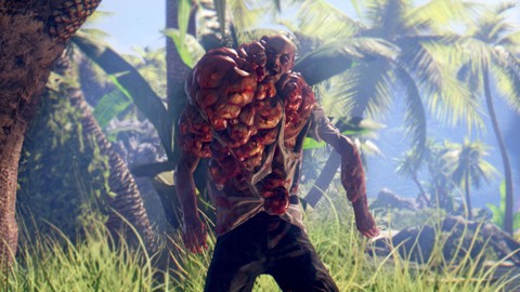 Deep Silver Dead Island Definitive Edition Collezione Inglese, ITA PC