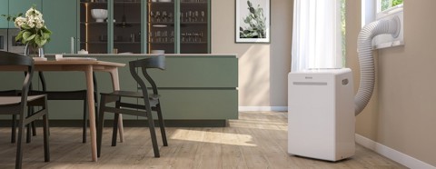 DOLCECLIMA AIRA 12 G NW
