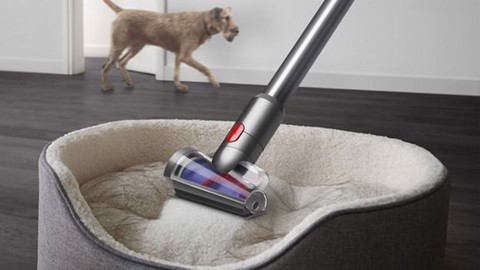 Dyson V12 Detect Slim Absolute Nichel, Giallo Senza sacchetto