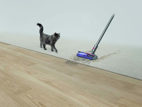 Dyson V15 Detect Absolute Nichel, Acciaio inossidabile, Giallo Senza sacchetto