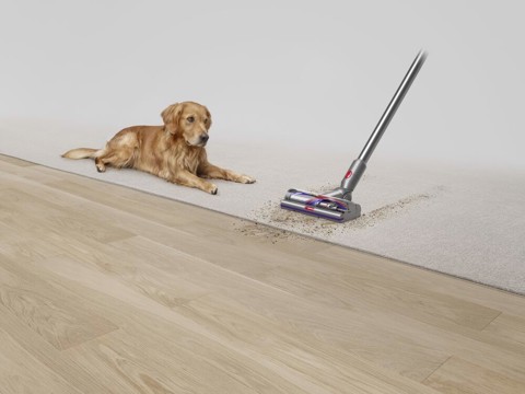 Dyson V15 Detect Absolute Nichel, Acciaio inossidabile, Giallo Senza sacchetto