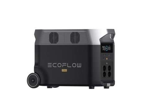 EcoFlow Delta Pro Power Station Portatile