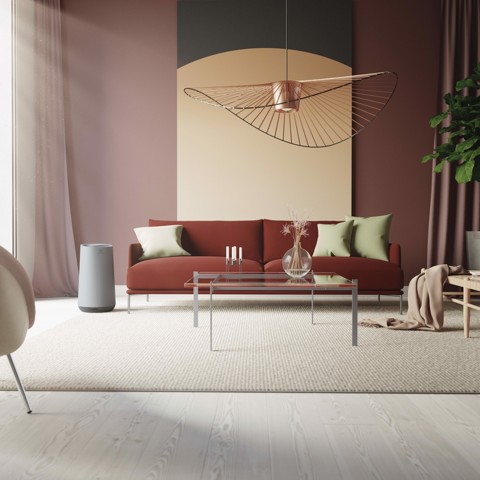 Electrolux EFFBRZ2 Filtro per purificatore d'aria