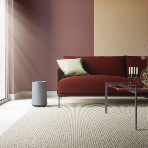 Electrolux EFFBRZ2 Filtro per purificatore d'aria