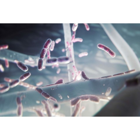 Electrolux EFFBRZ2 Filtro per purificatore d'aria